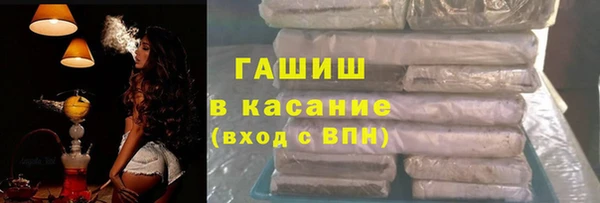 индика Алзамай