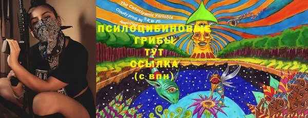 индика Алзамай