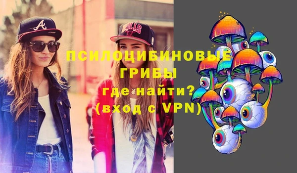 индика Алзамай