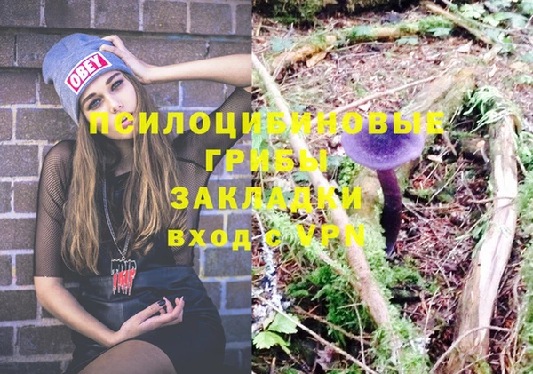 apvp Краснотурьинск