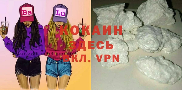 индика Алзамай