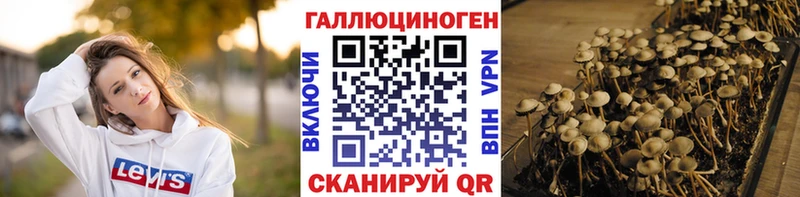 маркетплейс как зайти  Раменское  Галлюциногенные грибы мухоморы 
